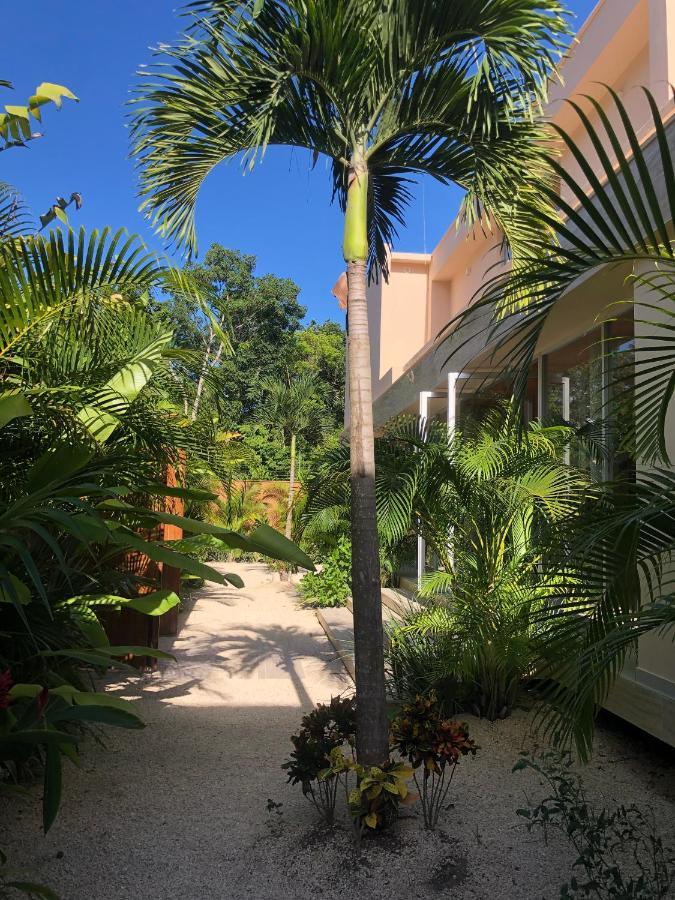 11Br I Hacienda Zalama Tulum Exterior foto